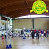 Festa_Primav_2011_palestra